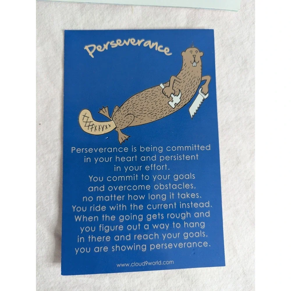 Home‎ School Teachers Cloud 9 world character book PERSEVERANCE 2nd-5th kit